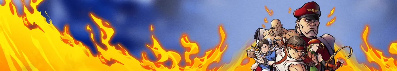 استریت فایتر ۶